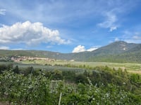 Passo Predaia von Mollaro