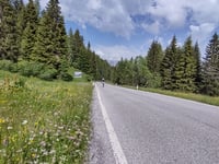 Passo San Pellegrino z Moena
