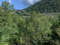 Passo Spina da Cortaccione