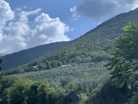 Passo Spina da Cortaccione