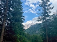 Passo Valles desde Paneveggio