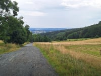 Pastewnik von Wierzchosławice