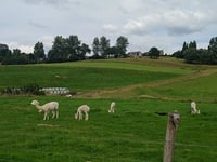 Paterberg