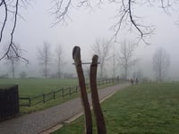 Paterberg