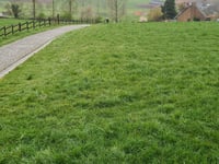Paterberg