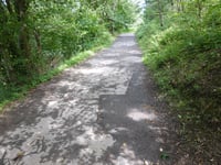 Paulinenstrasse von Wolfsfurth