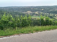Pedrinate from Novazzano