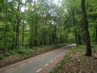 Peeskesbult von 's-Heerenberg