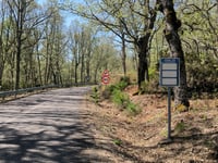 Peña de Francia von La Alberca