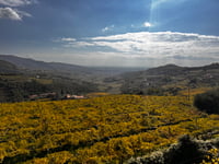 Pendola / San Rocco von Fumane