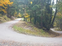 Penegal von Mendelpass