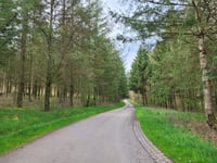 Pënzebierg von Lellingen