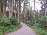 Pënzebierg von Lellingen