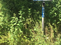 Pepperdon Hall Lane