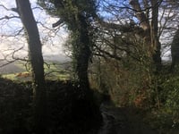 Pepperdon Hall Lane