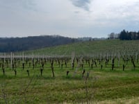 Pideura von Via Pergola