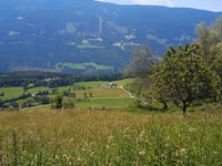 Pertinger Alm von Kiens / Chienes