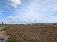 Petegemberg from Volkaartsbeek