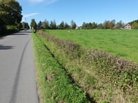 Petergensfeld desde Petergensfeld