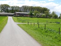 Petershof von Schlicher Strasse