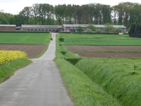 Petershof von Schlicher Strasse
