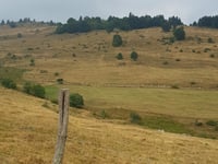 Kleiner Belchen