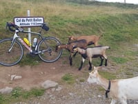 Kleiner Belchen