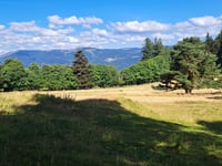 Col du Petit Ballon von Whir au Val