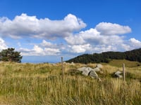Col du Petit Ballon von Whir au Val