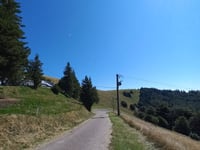 Petit Drumont