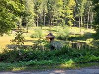 Petit Drumont