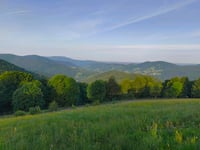 Petit Drumont