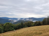 Petit Drumont