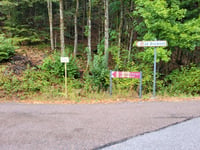 Petit Drumont