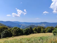 Petit Drumont