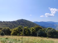 Petit Drumont