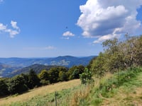 Petit Drumont