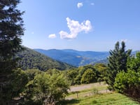 Petit Drumont
