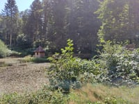 Petit Drumont