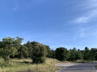 Petite Caunet