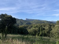 Petite Caunet