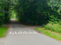 Petrea über Parkweg