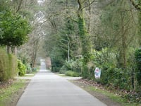 Petrea über Parkweg