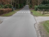 Petrea über Parkweg