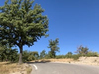 Les Trois Fonts da Peypin