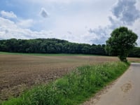 Philippionsweg from Am Hasselholz