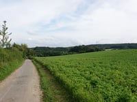 Philippionsweg from Am Hasselholz