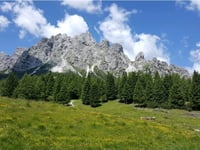 Pian dei Buoi da Lozzo di Cadore