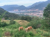 Pian di Montecampione