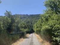 Pic de Bertagne from Plan-d'Aups-Sainte-Baume